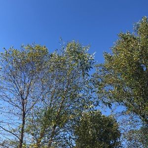 Meet your Posher, Jeffrey